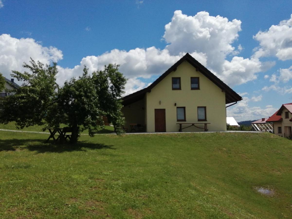 Domki Pod Beskidem Jaworzynka Exterior photo